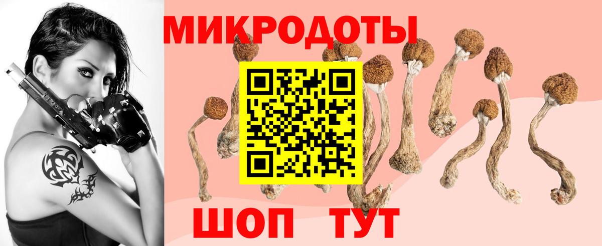 Галлюциногенные грибы Magic Shrooms  Вход с VPN  Павловский Посад 